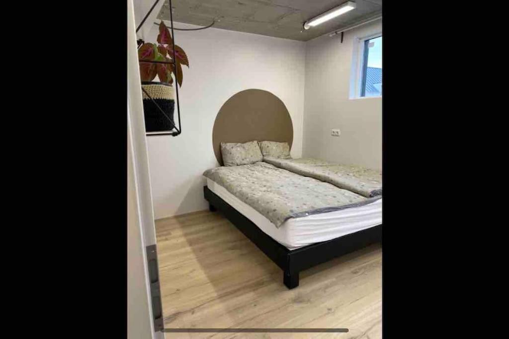 Modern Garage Suite - Free Parking & Self Check In Hveragerdi Exterior foto